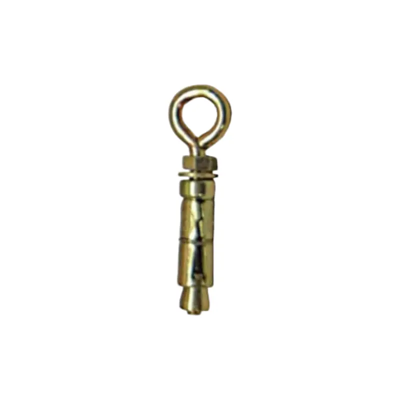 10Mm Heavy-Duty Eye-Type Expansion Anchor 1