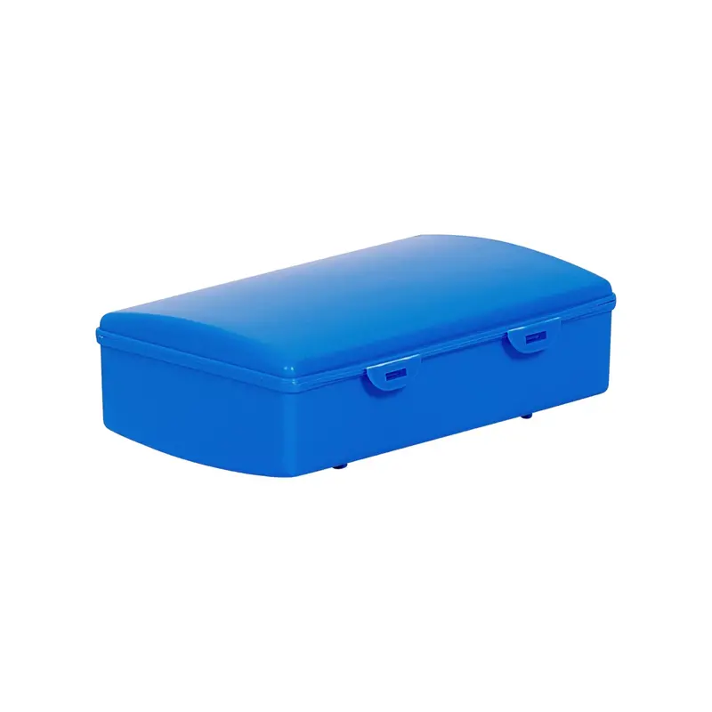 Buzz Hinged 1-Litre Lunchbox – Leak-Resistant Food Container 1