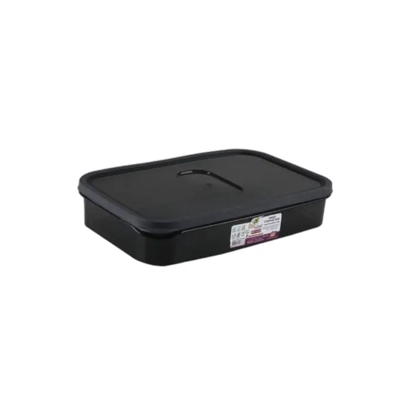 Compact 1.65L Airtight Storage Container – 25×16×5Cm 1