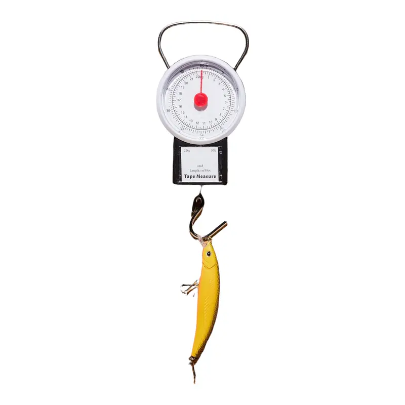 Digital Hanging Scale – 100Kg Capacity With Dual Display (Pl8/16) 1