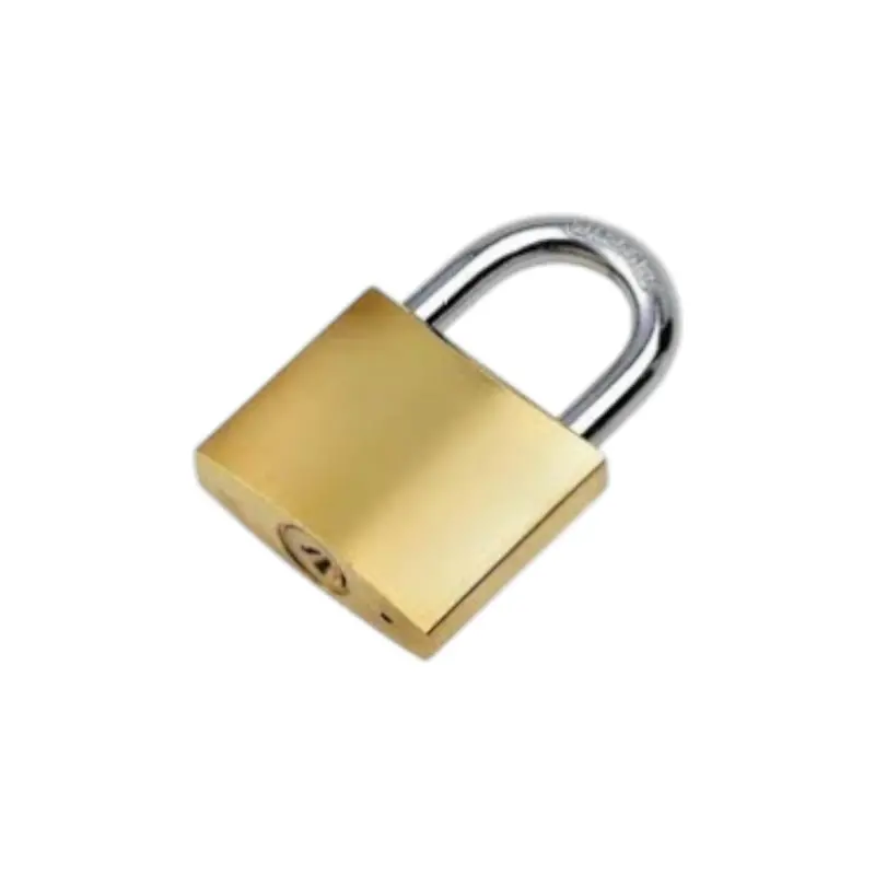 Heavy-Duty Brass Padlock With 63Cm Shackle 1