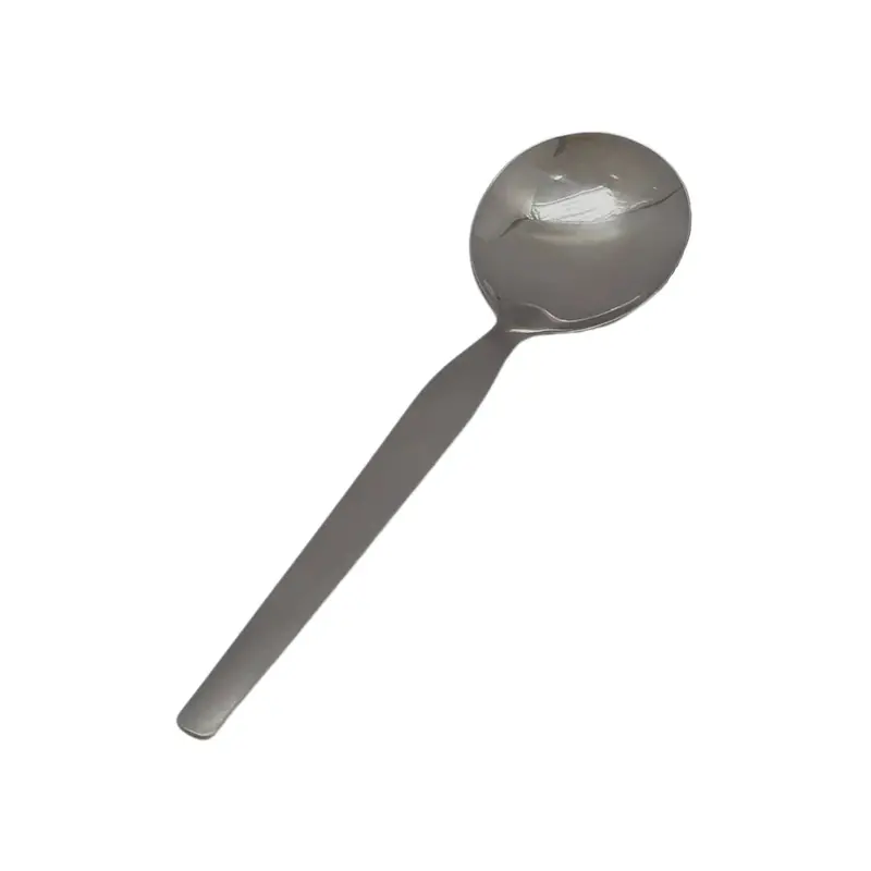 Matte Stainless Steel Curry Spoon – 25Cm Shiny Finish 1