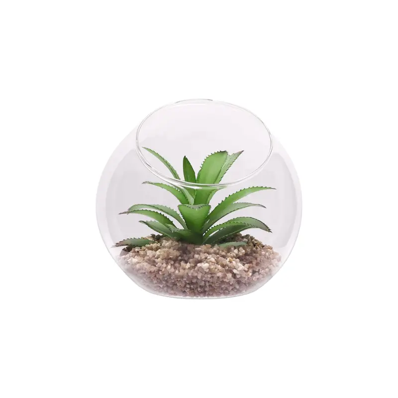 Regent Large Artificial Succulent Arrangement – Clear Glass Sphere Display (120 × 110Mm) 1