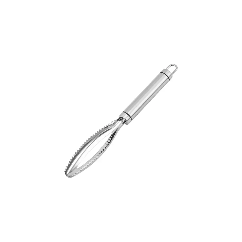 Stainless Steel Fish Scales Remover – 22 Cm Professional Tool 1