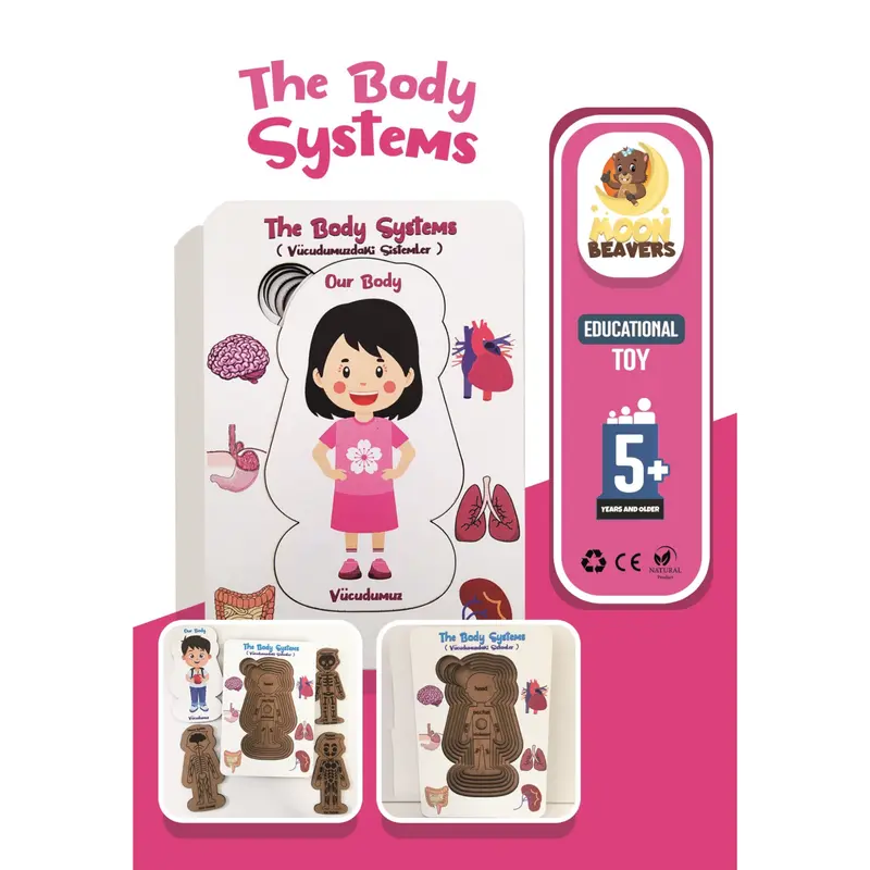 The Human Body Systems Puzzle – Girl Version, 13 × 18 Cm 1
