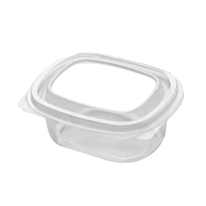 Zibo 250 Ml Rectangular Clamshell Container – Disposable Deli Food Box (Zib093) 2