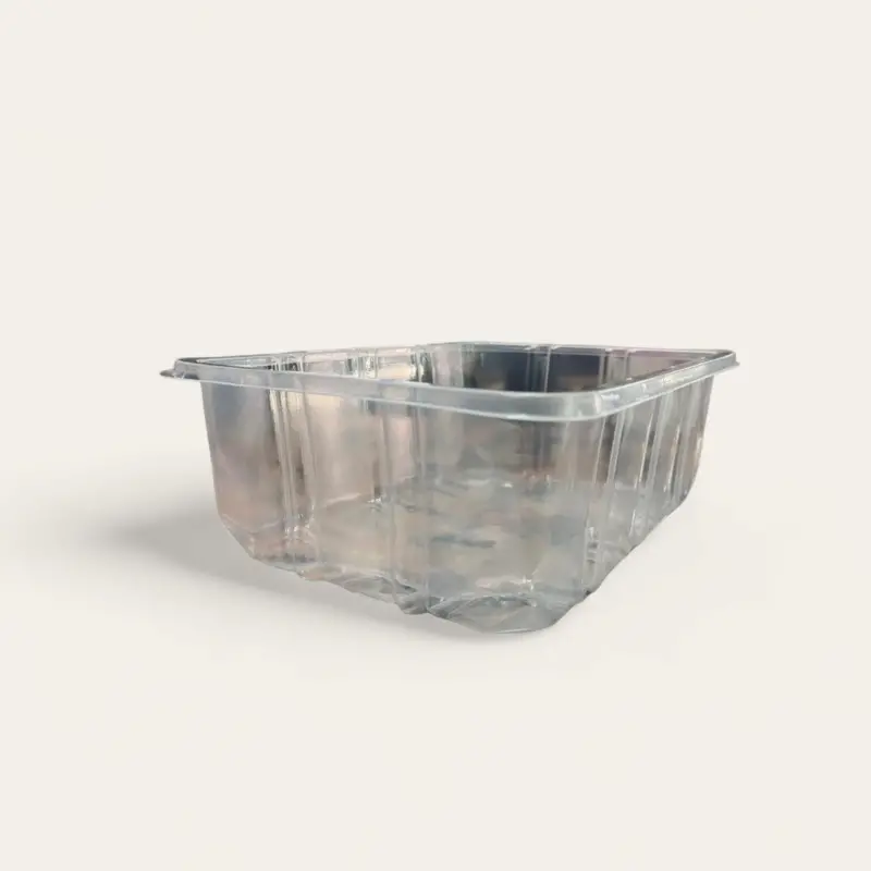 Zibo Disposable Deli & Fruit Salad Container – 10-Pack, No Lid, Ft70/T556 Style 1